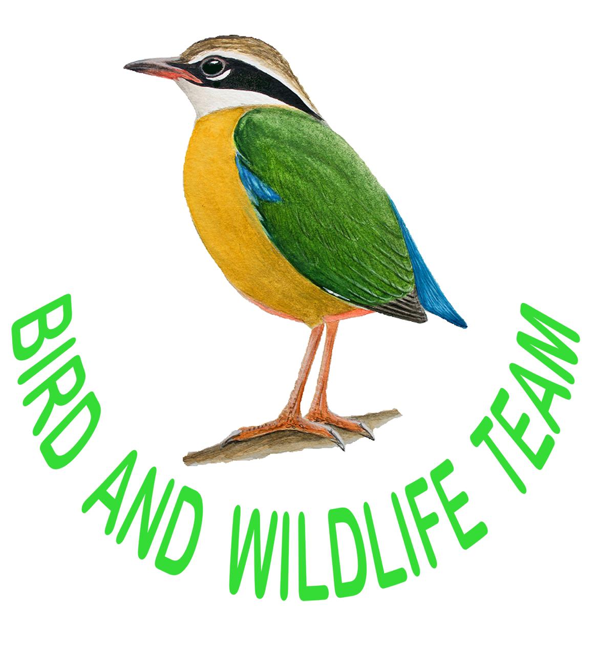 Bird and WildLife Team